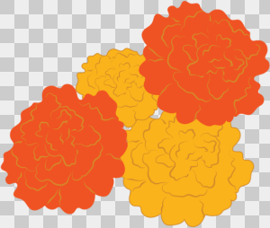 flores de cempasúchil dibujo